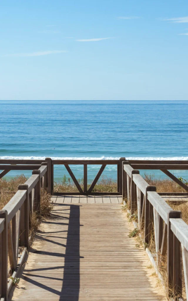 Plage du Cap de l'Homy | Côte Landes Nature Tourisme