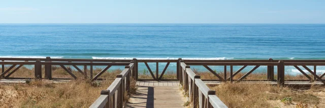 Plage du Cap de l'Homy | Côte Landes Nature Tourisme