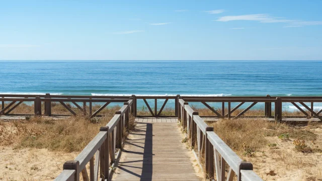 Plage du Cap de l'Homy | Côte Landes Nature Tourisme
