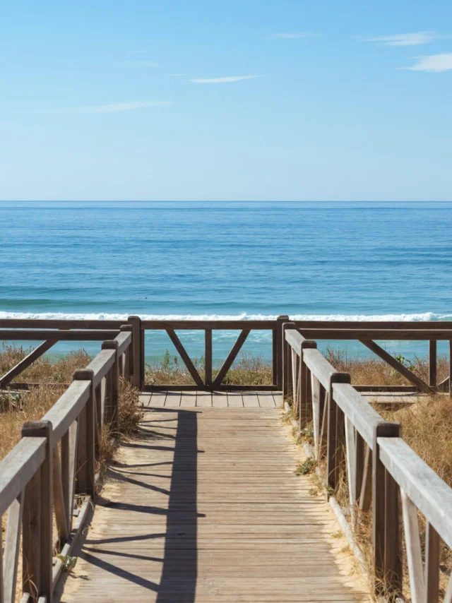 Plage du Cap de l'Homy | Côte Landes Nature Tourisme