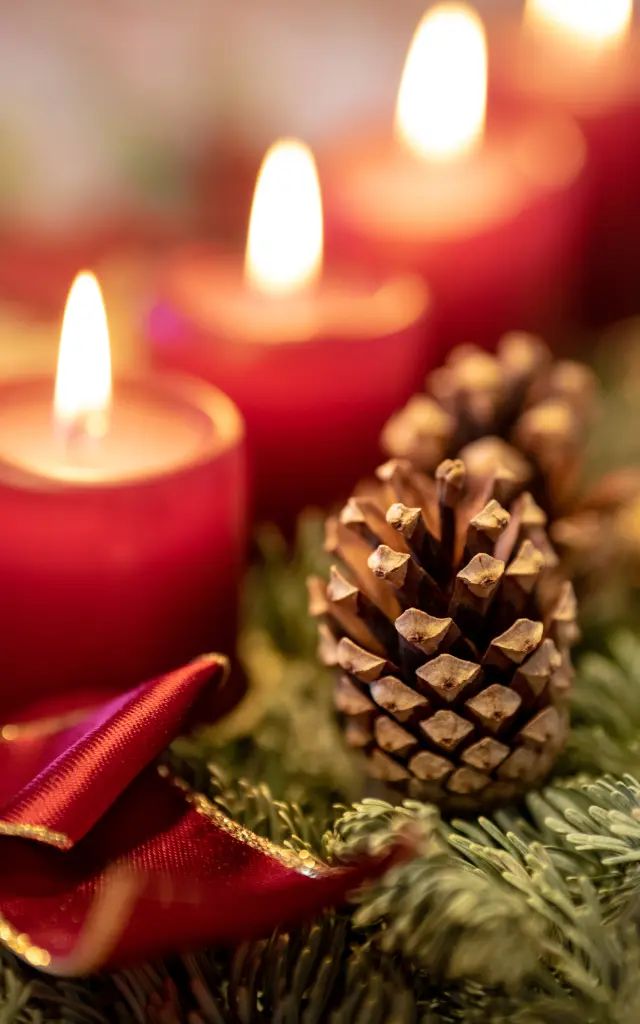 Fêter la fin de l'année en Côte Landes Nature