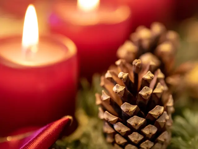 Fêter la fin de l'année en Côte Landes Nature