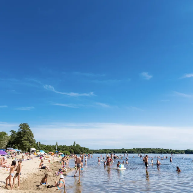 Lac de Léon | Côte Landes Nature