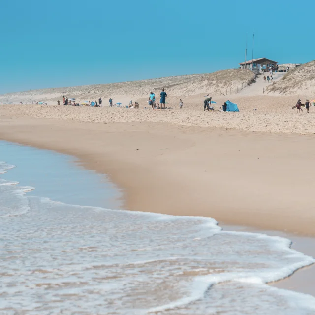 La Lette Blanche | Côte Landes Nature