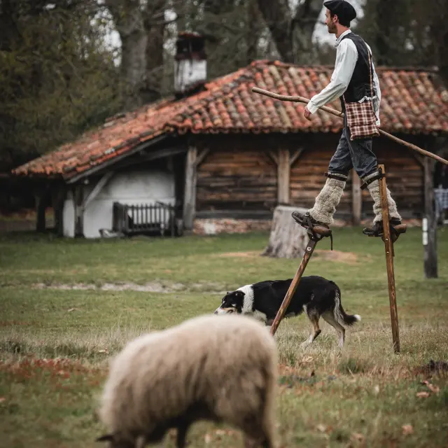 Marquèze, le quartier le plus connu des Landes !
