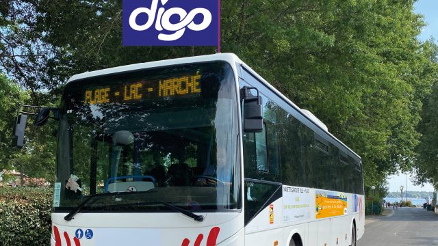 2405 Cln Digo Flyer Navette Estivales Sans Horaires V2