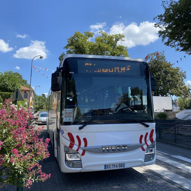 Navette estivale en Côte Landes Nature, des transports gratuits et responsables