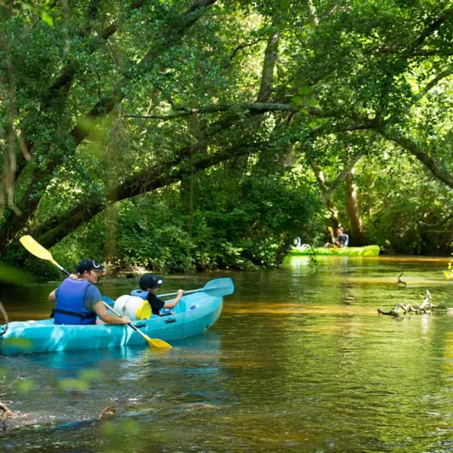 Courant de la Palue - Canoê