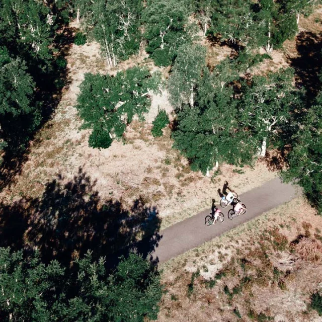 Vélo et pistes cyclables en Côte Landes Nature