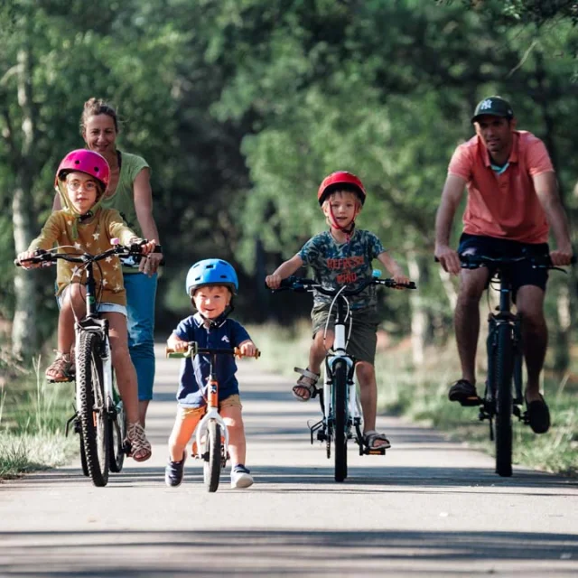 Vélo et pistes cyclables