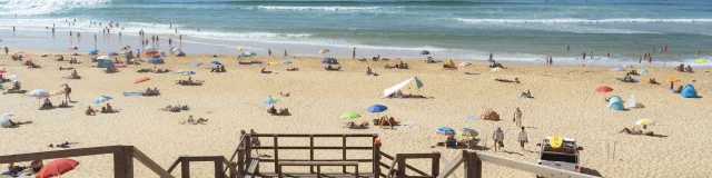 Cap de l'Homy