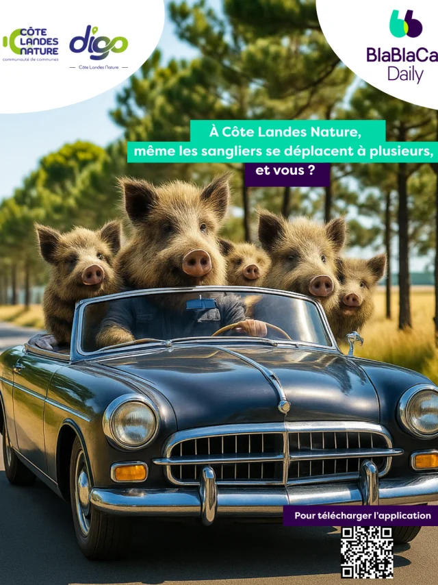 Post Facebook Blablacardaily