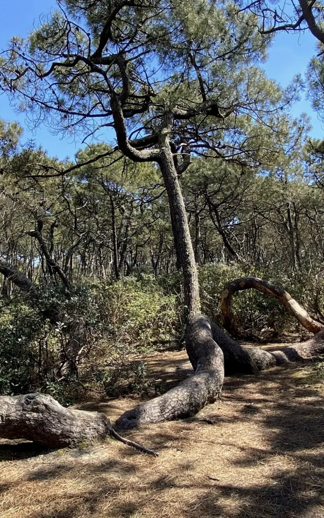 Entrée Nord Saint Girons Plage