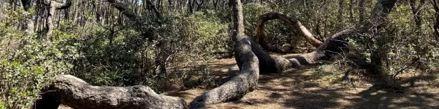 Entrée Nord Saint Girons Plage