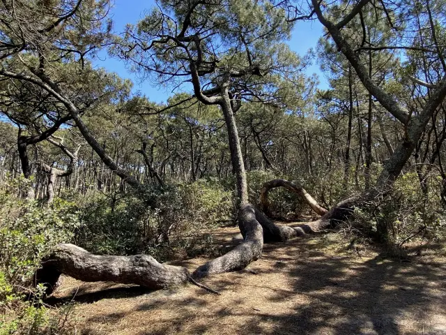 Entrée Nord Saint Girons Plage
