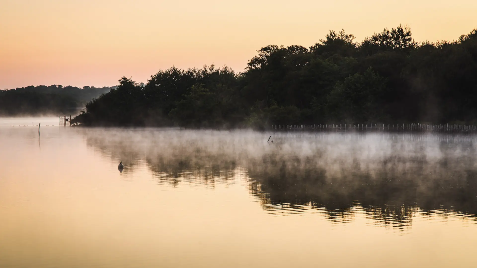 L├®on 7313 Yohan Espiaube