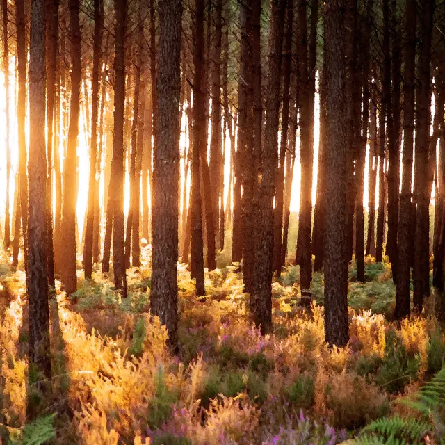 Maison Des 3 Poiriers