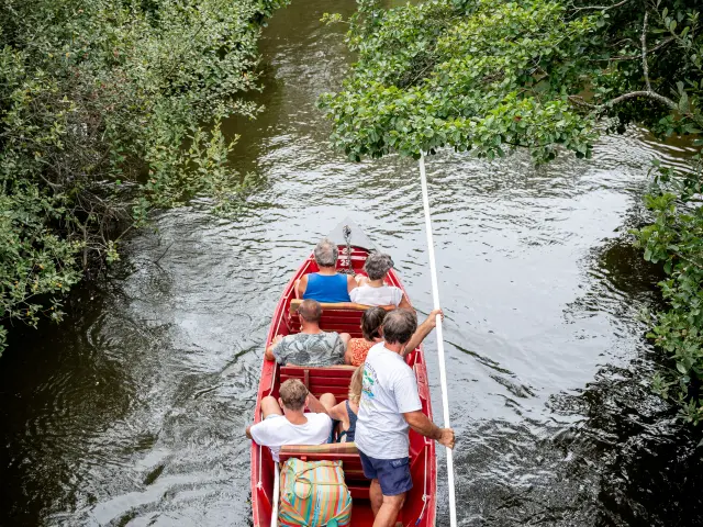 Balade sur le Courant d'Huchet avec les Bateliers