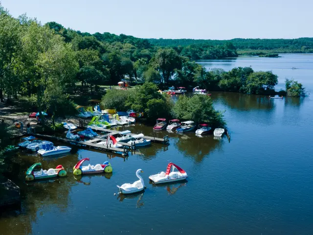 Lac de Léon | Côte Landes Nature