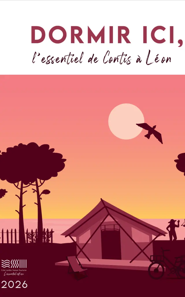 Guide des Hébergements 2026 en Côte Landes Nature : Dormir ICI, l'essentiel de Contis à Léon