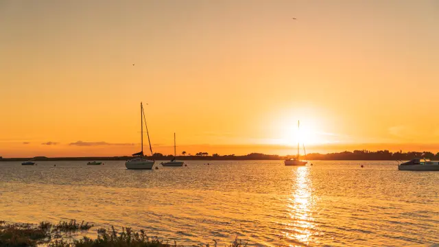 Bateaux amarrés dans une marina au coucher du soleil