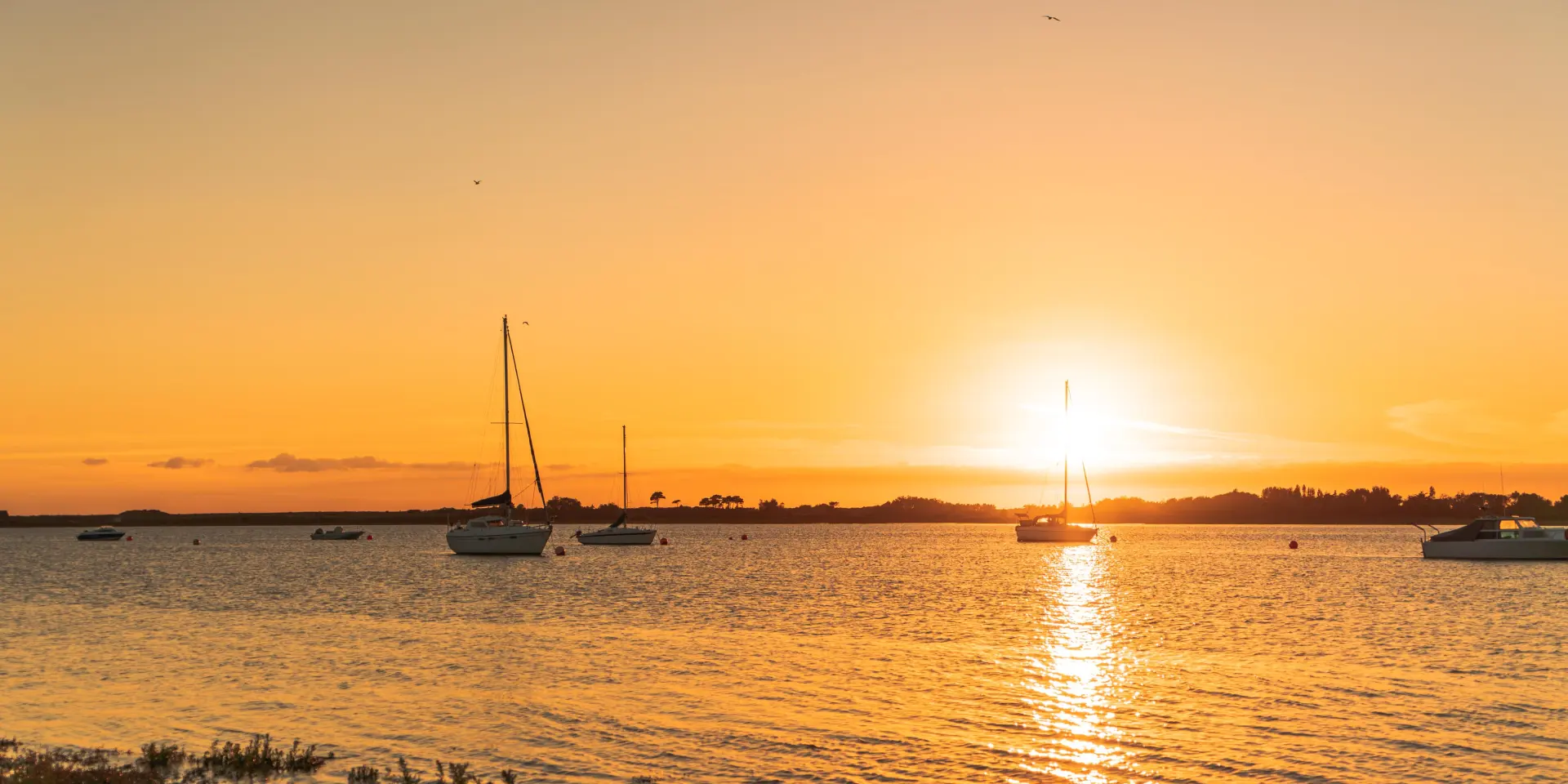 Bateaux amarrés dans une marina au coucher du soleil
