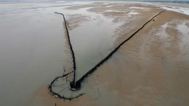 Luftaufnahme einer Holzstruktur in einer Bucht mit Linien von Pfählen