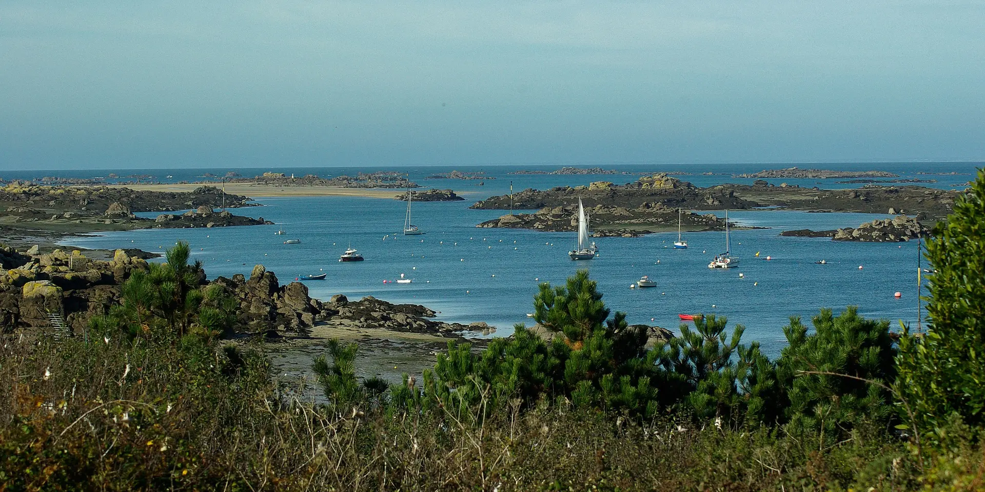 Sailboats moored in a harbor at dusk with buildings in the background