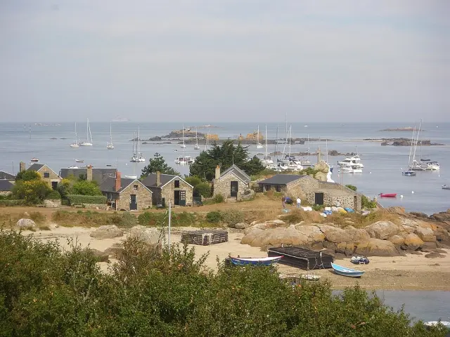 Marina with moored sailboats and background buildings at dusk