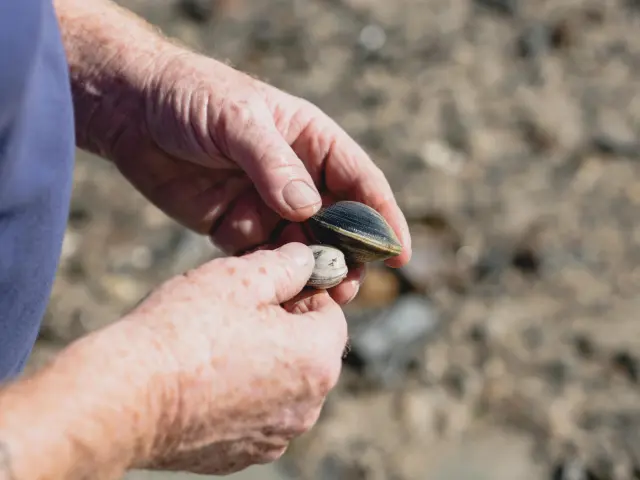 Player's hand holding a tennis ball on a clay court