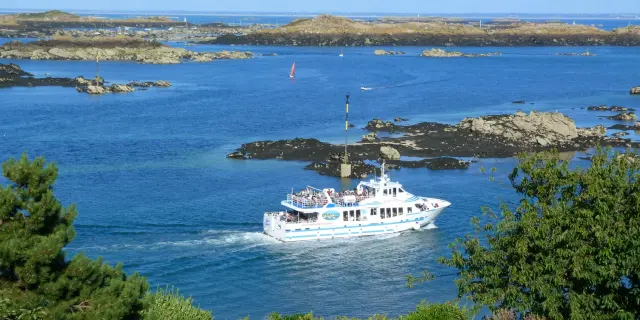 Cruise ships docked in a bay surrounded by greenery