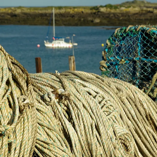 Sailboats moored in a bay at sunset