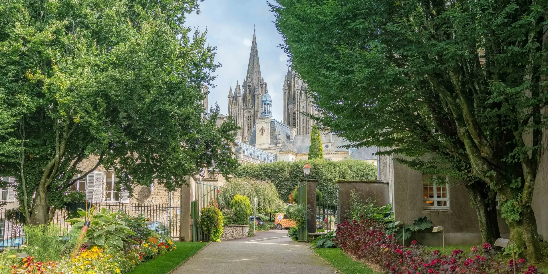 Vue d'une cathédrale gothique entre des arbres verts