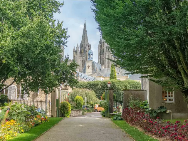 Vue d'une cathédrale gothique entre des arbres verts
