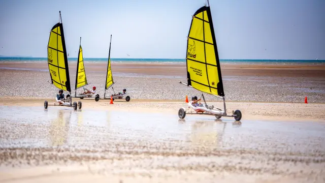 Quatre voiliers sur une plage avec des voiles jaunes et noires