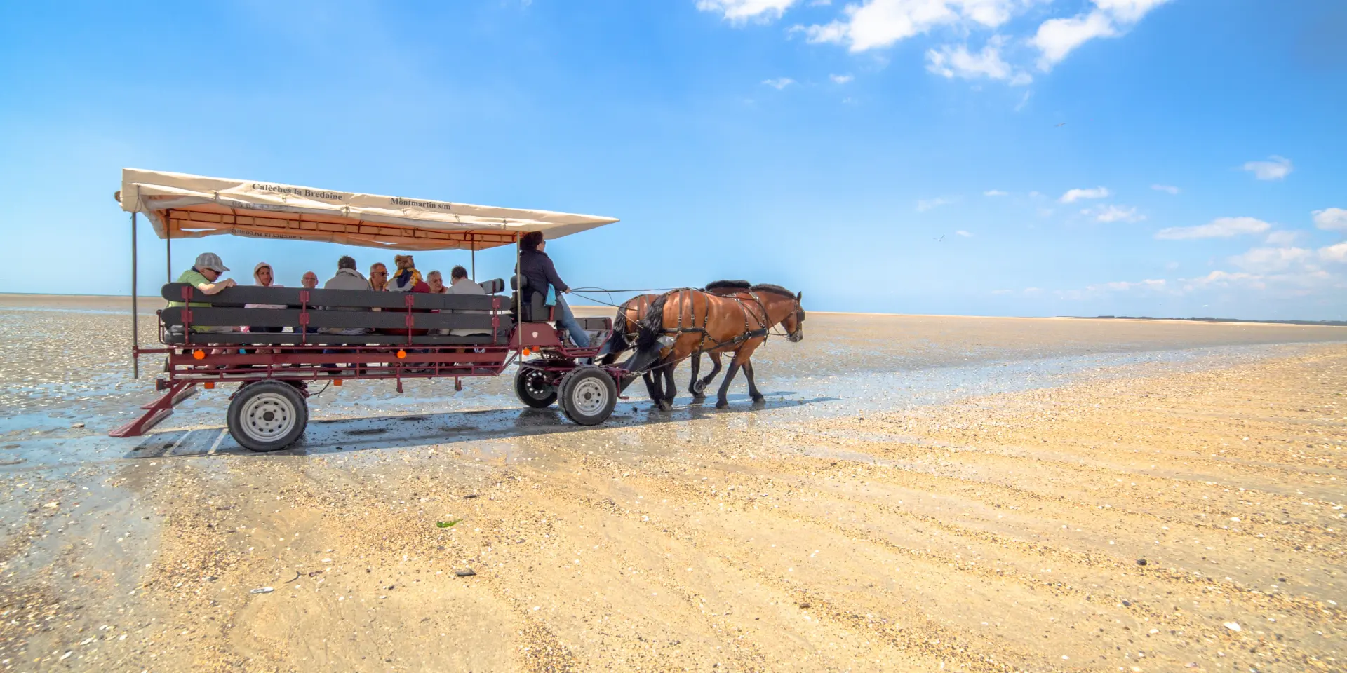 Une calèche tirée par un cheval sur une plage de sable