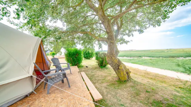 Terrasse en bois avec tables et chaises sous un grand arbre, en bordure d'un plan d'eau