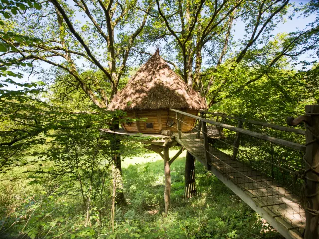 Cabanes dans les arbres à Savigny La Landerie chez Madame Cauchard.