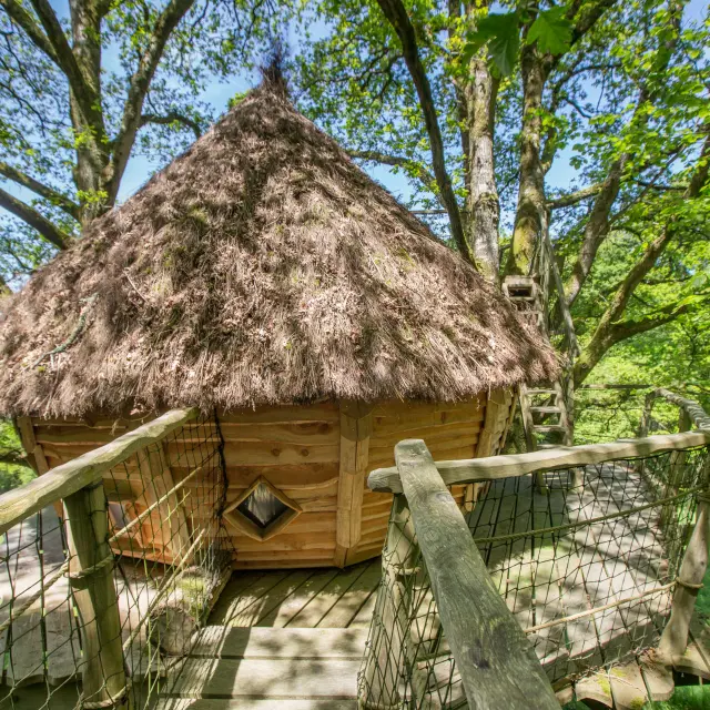 Cabanes dans les arbres à Savigny La Landerie chez Madame Cauchard.