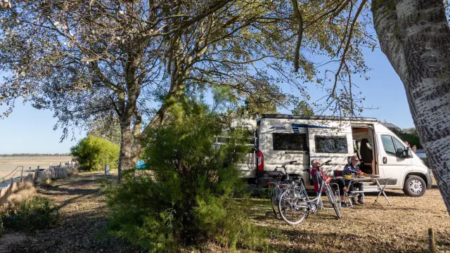 Mobil-home stationné dans un camping entouré d’arbres et de buissons