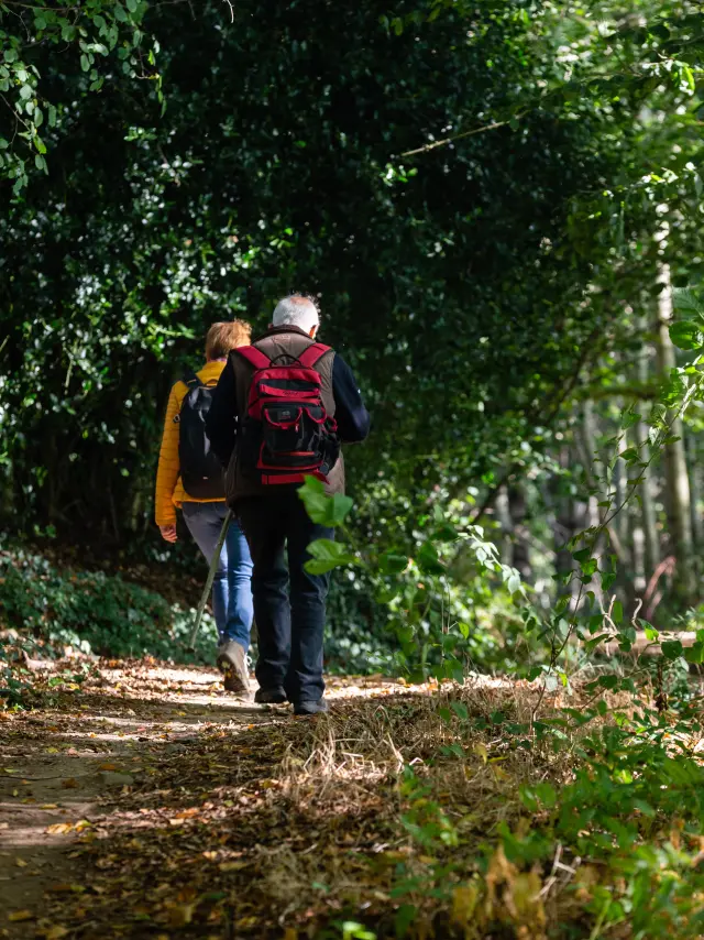 Deux personnes en tenue de randonnée marchent sur un sentier en forêt