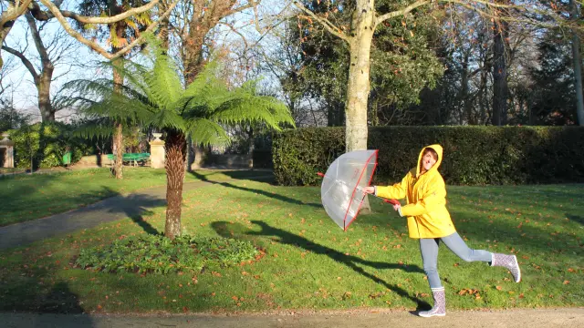 Femme en imperméable jaune tenant un parapluie transparent dans un parc