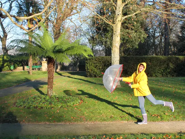 Woman in a yellow raincoat holding a transparent umbrella in a park