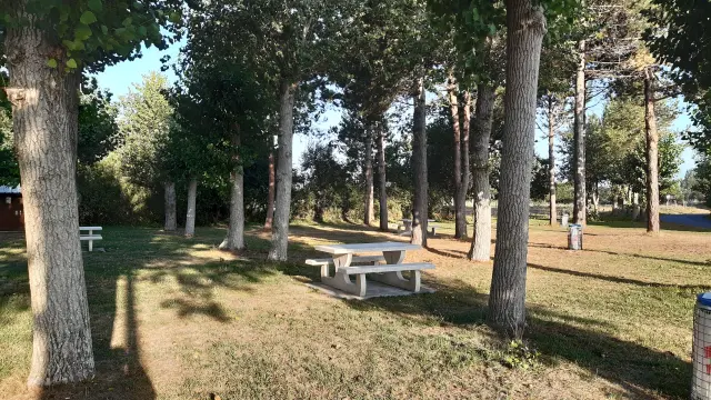 Une table de pique-nique en bois sous des arbres dans un parc