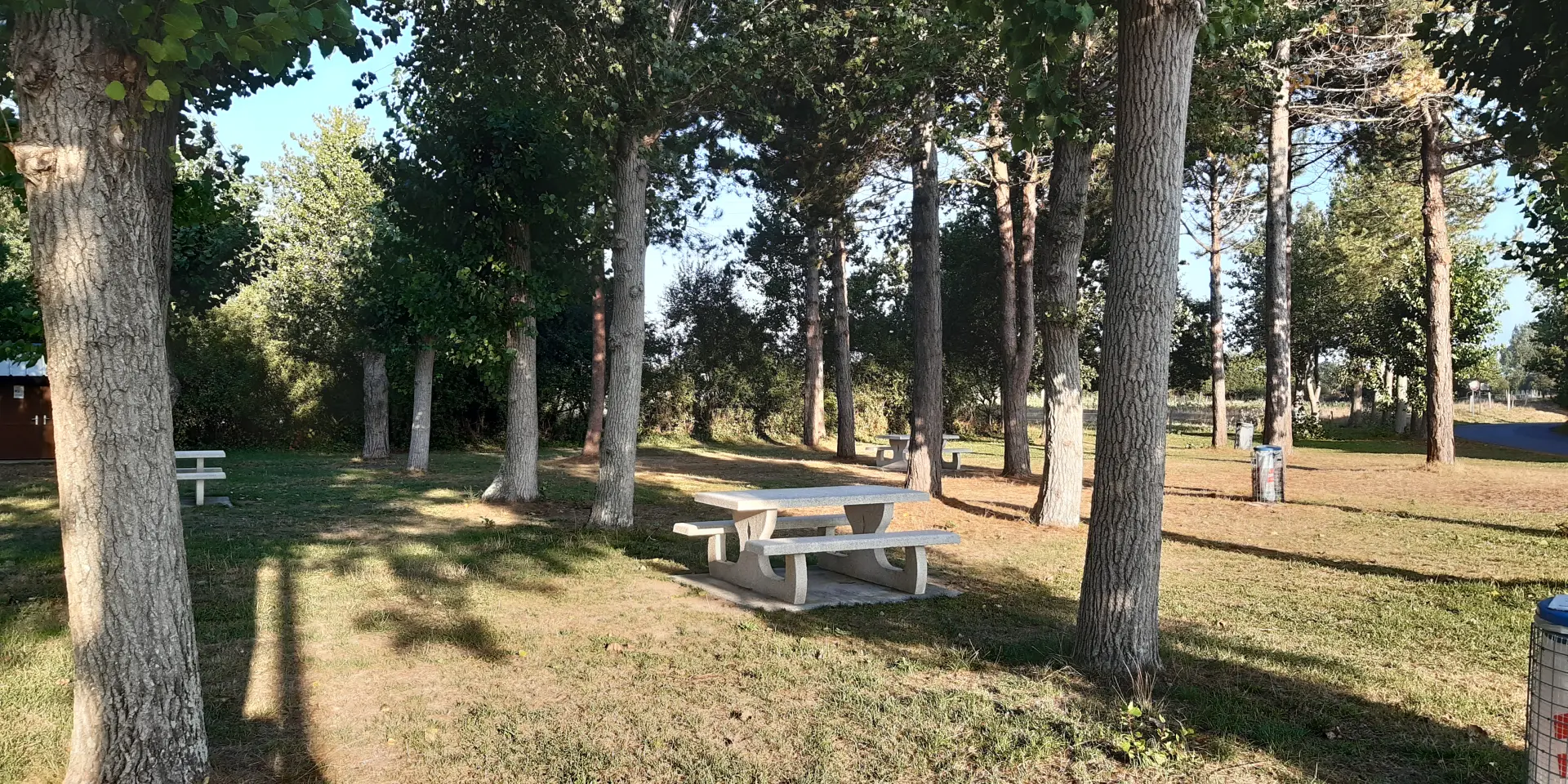 Une table de pique-nique en bois sous des arbres dans un parc