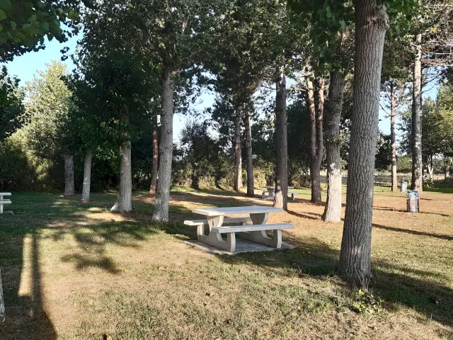 A wooden picnic table under trees in a park