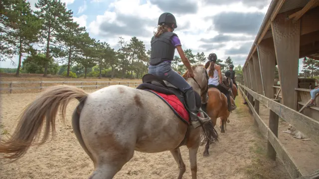 Un cavalier en tenue d'équitation sur un cheval blanc avec une couverture rouge et des bandes bleues