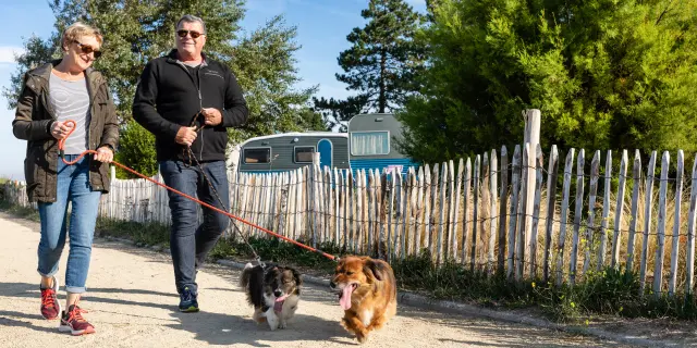 Un homme et une femme marchent avec deux chiens en laisse sur un chemin de terre à Regnéville sur Mer