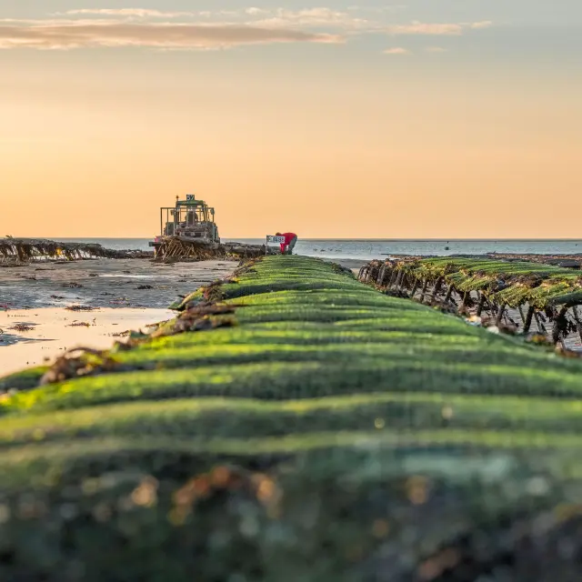 Schiffswrack am Strand bei Sonnenuntergang