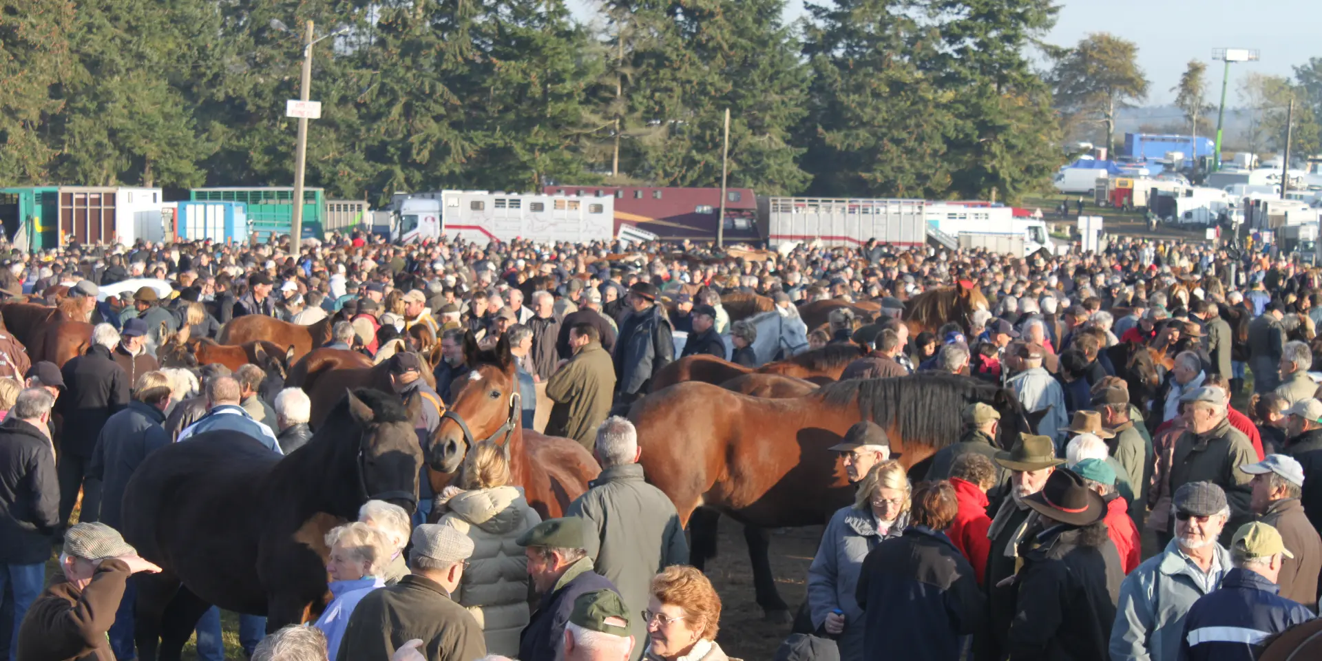 A large crowd of people surrounding horses at an outdoor event
